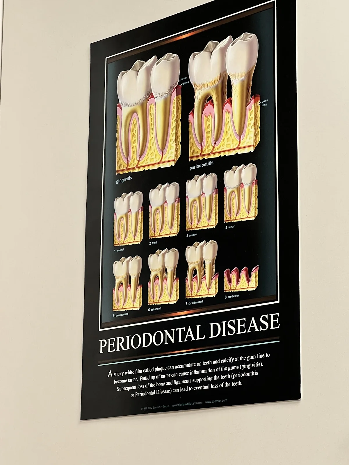 Cody Dental Group photo 2