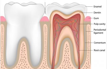 Shenstone Dental Centre